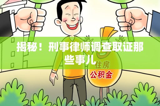 分宜揭秘！刑事律师调查取证那些事儿