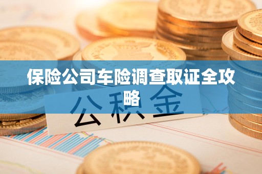 分宜保险公司车险调查取证全攻略
